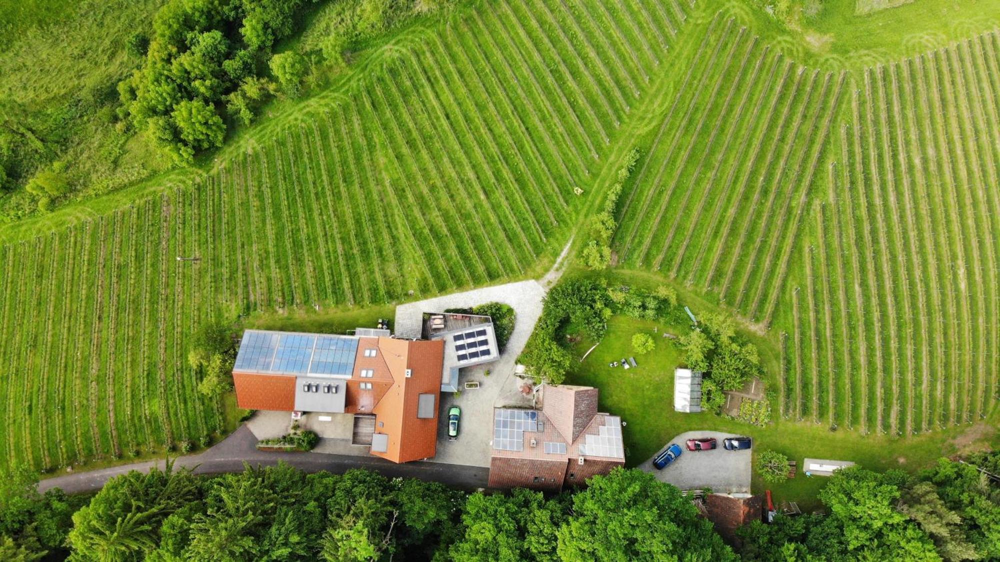 Bed and Breakfast Weingut Spitzypeitler Leutschach Exteriér fotografie
